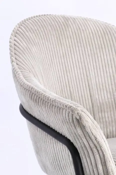 Silla Terciopelo Gris Claro Acero Negro, 66 Cm