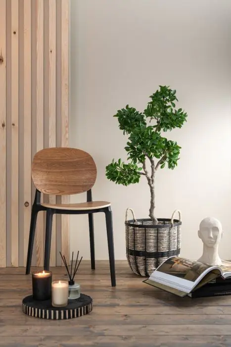 Silla Chapa Madera Plástico Color Natural/Negro, 81 Cm