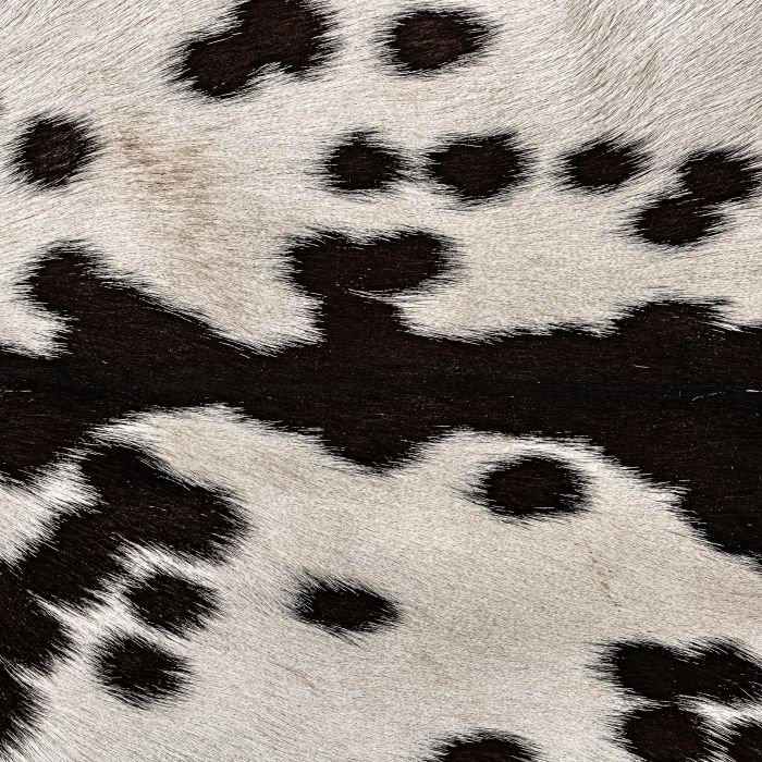 Sillón Helfaut Piel Blanco Negro Madera Mango, 75 Cm