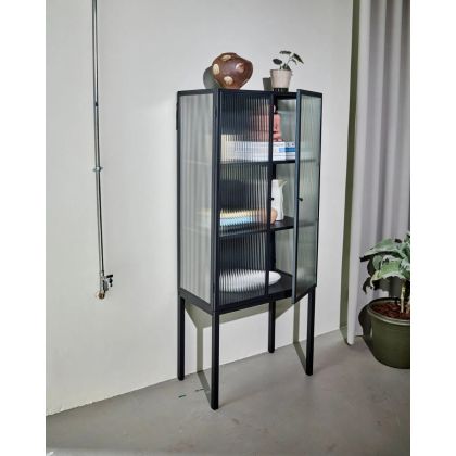 Vitrina en hierro negro y cristal templado 2 puertas.